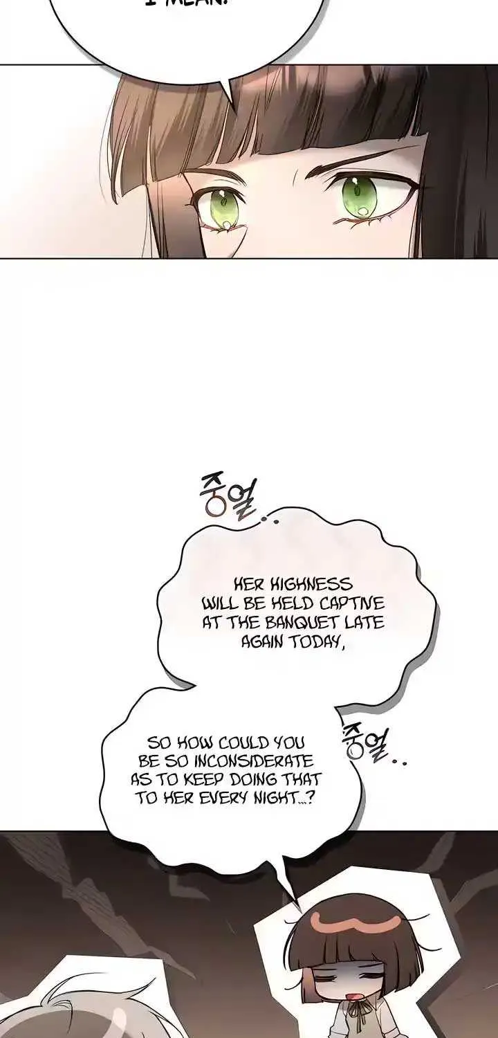 The Princess’s Bedchamber Toy Chapter 19 page 47 - 