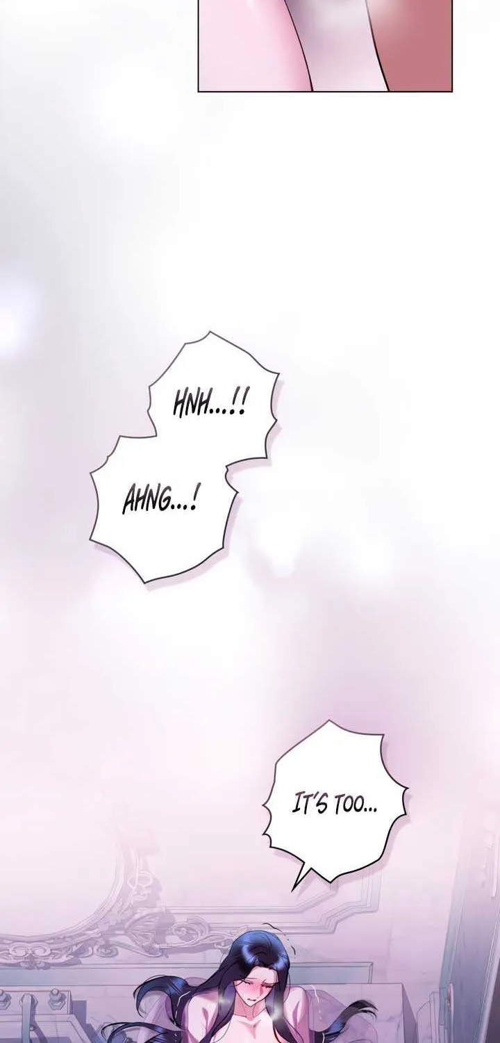 The Princess’s Bedchamber Toy Chapter 22 page 27 - 