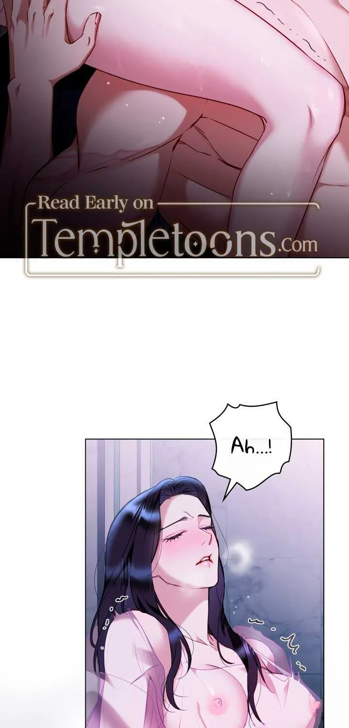 The Princess’s Bedchamber Toy Chapter 22 page 29 - 