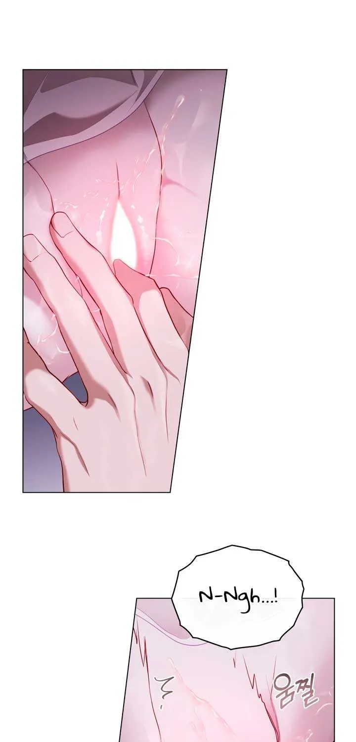 The Princess’s Bedchamber Toy Chapter 22 page 46 - 