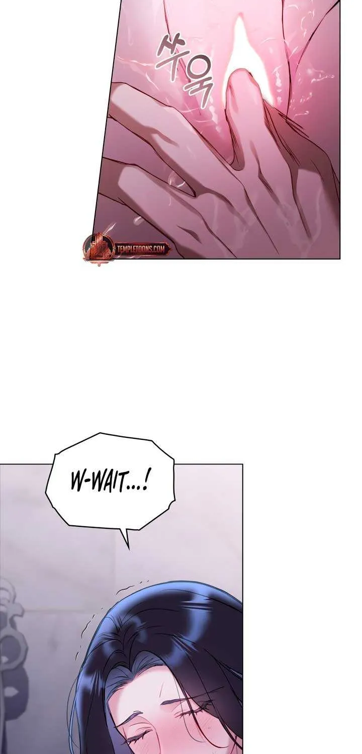The Princess’s Bedchamber Toy Chapter 22 page 47 - 