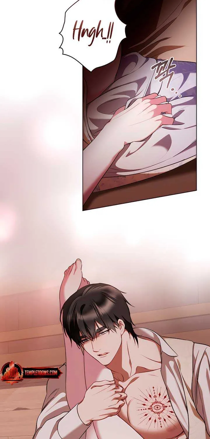 The Princess’s Bedchamber Toy Chapter 24 page 49 - 