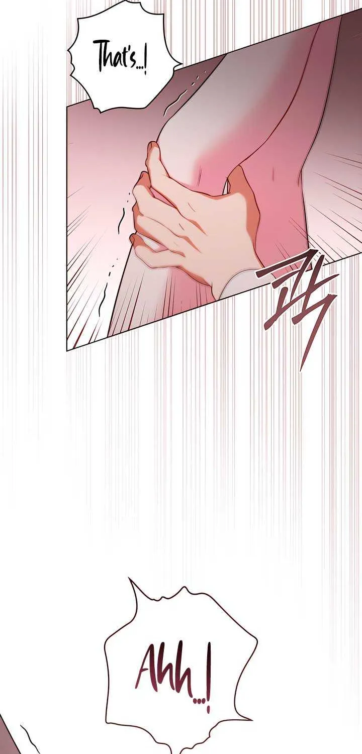 The Princess’s Bedchamber Toy Chapter 24 page 57 - 