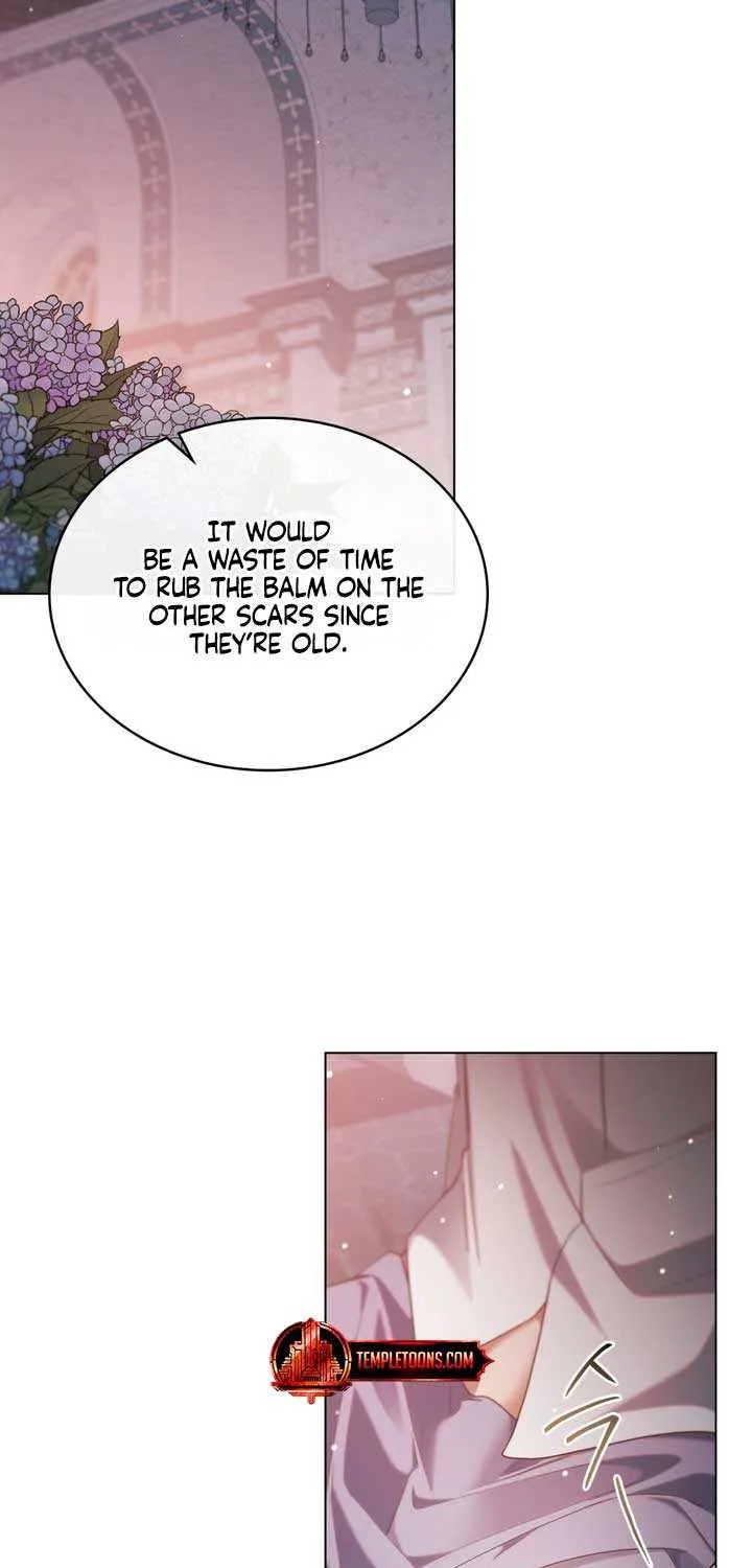 The Princess’s Bedchamber Toy Chapter 28 page 29 - 