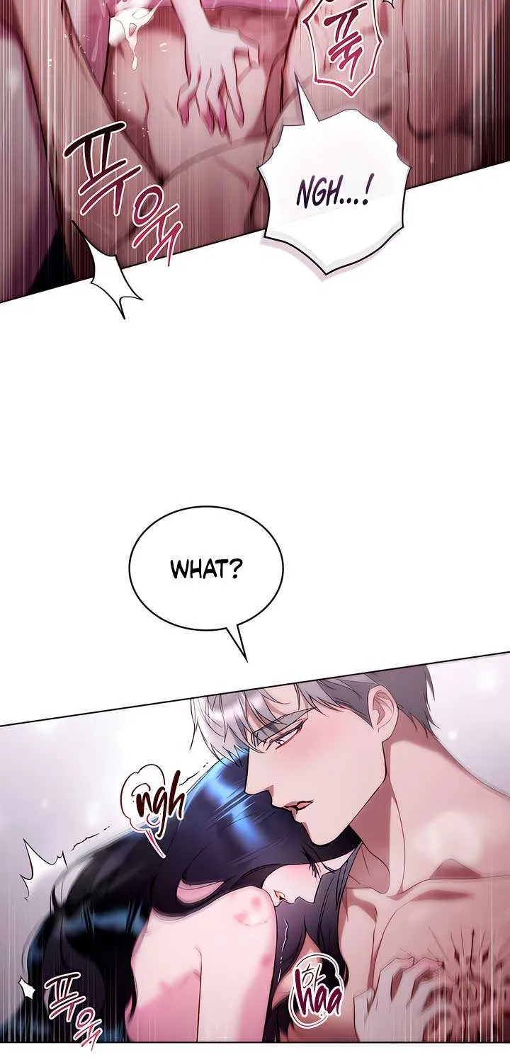 The Princess’s Bedchamber Toy Chapter 31 page 11 - 