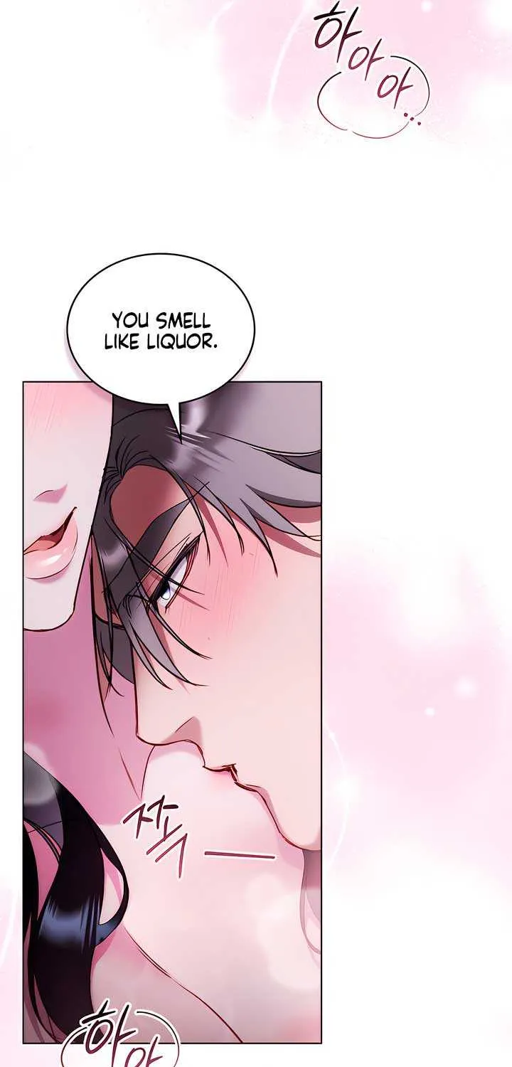 The Princess’s Bedchamber Toy Chapter 31 page 17 - 