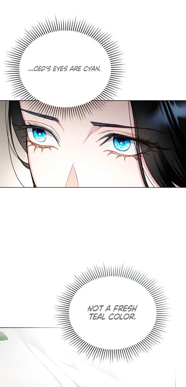The Princess’s Bedchamber Toy Chapter 31 page 49 - 