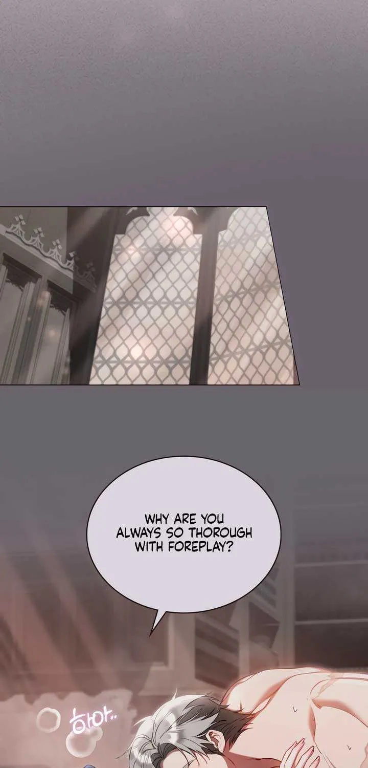 The Princess’s Bedchamber Toy Chapter 34 page 28 - 