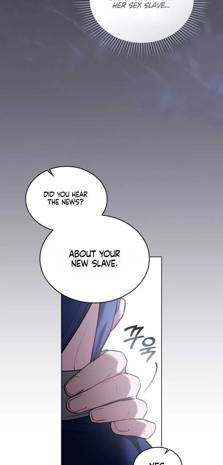 The Princess’s Bedchamber Toy Chapter 35 page 11 - 