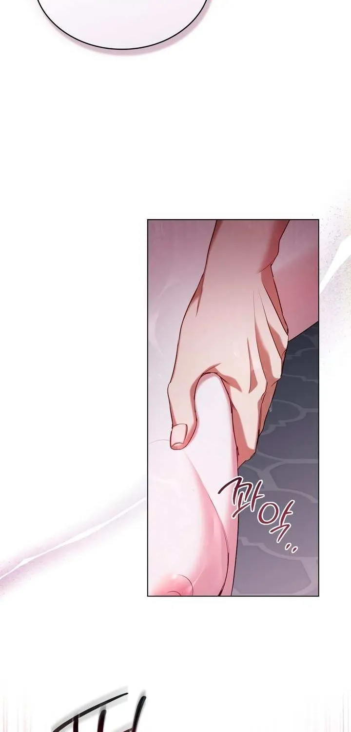 The Princess’s Bedchamber Toy Chapter 39 page 12 - 