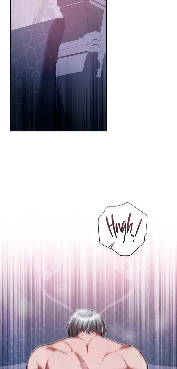 The Princess’s Bedchamber Toy Chapter 39 page 3 - 