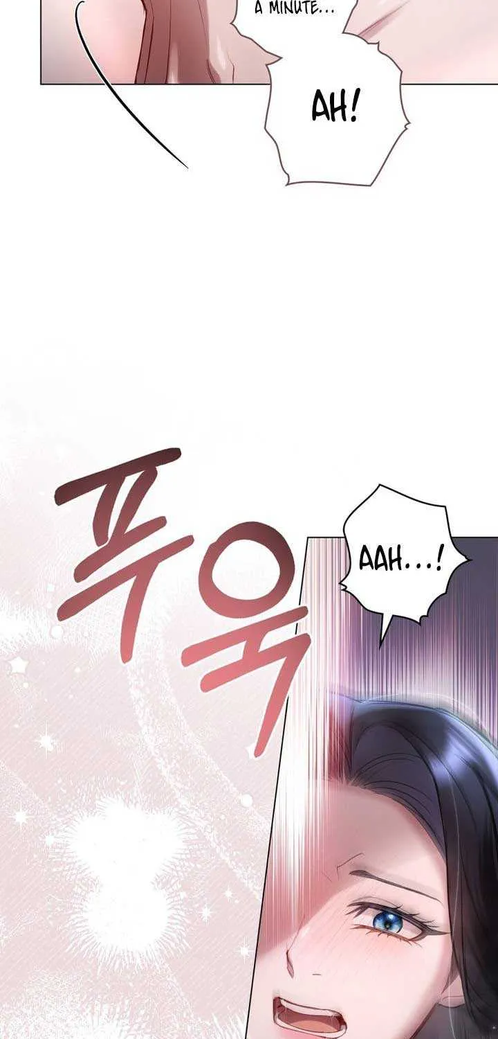 The Princess’s Bedchamber Toy Chapter 4 page 47 - 