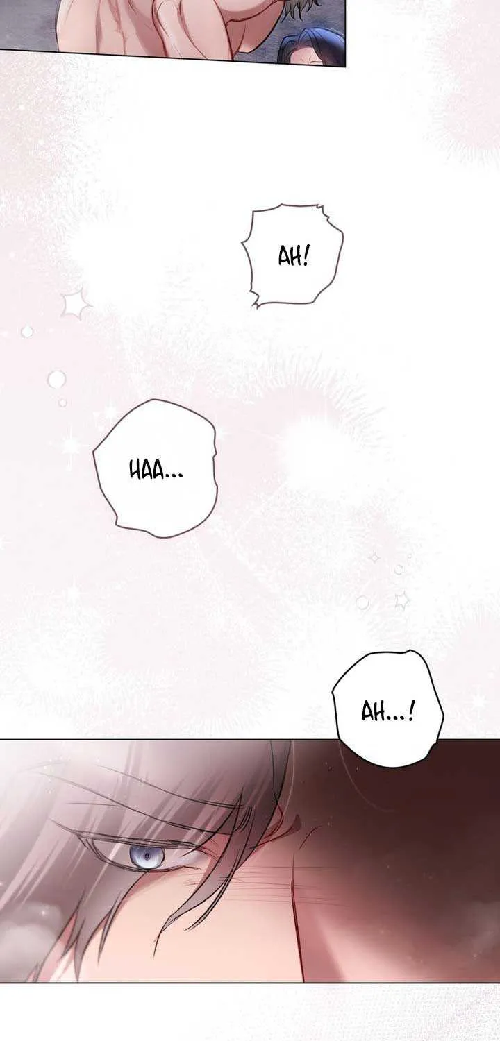 The Princess’s Bedchamber Toy Chapter 4 page 49 - 