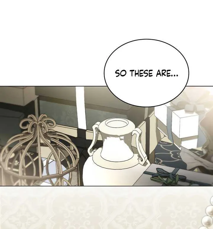 The Princess’s Bedchamber Toy Chapter 47 page 17 - 