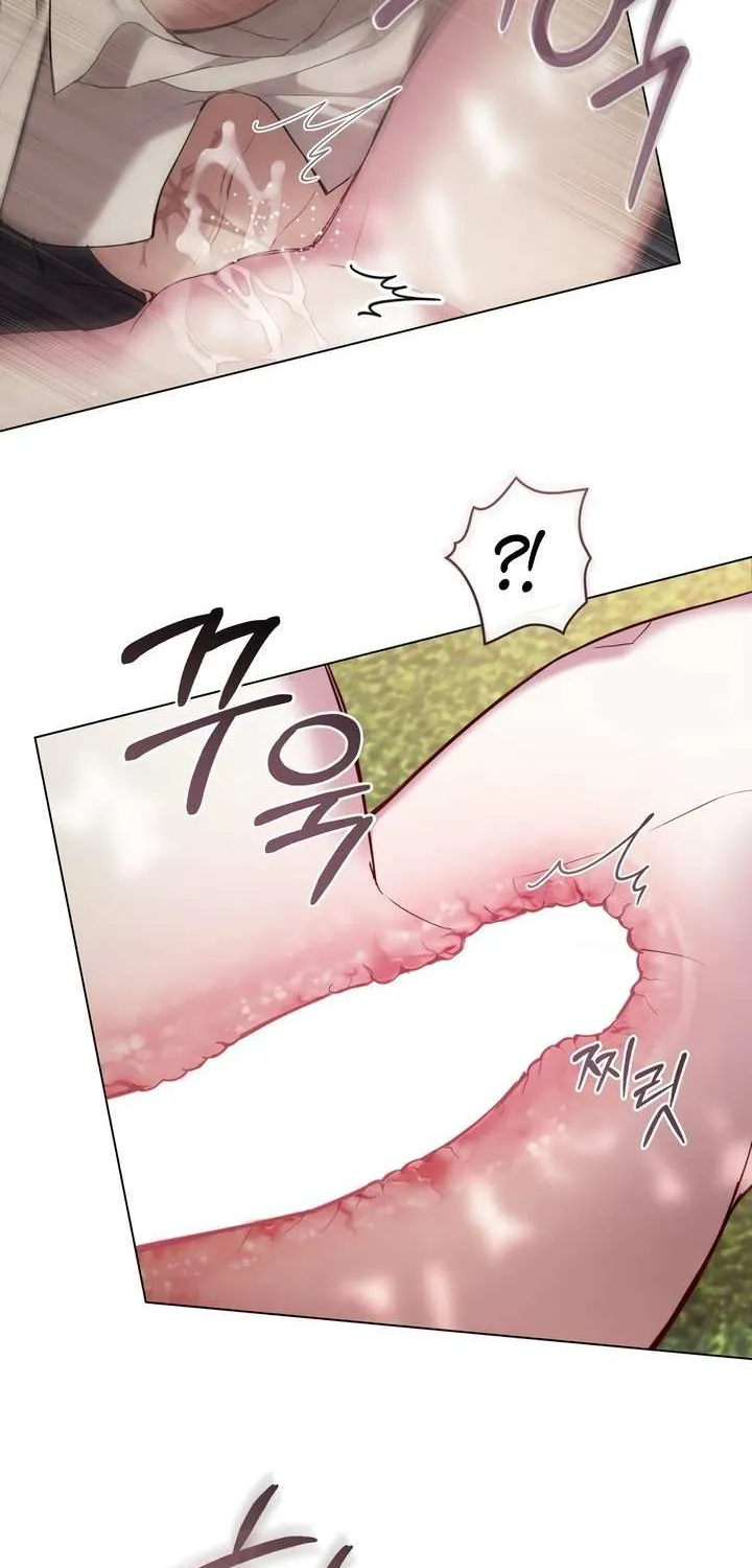 The Princess’s Bedchamber Toy Chapter 48 page 46 - 