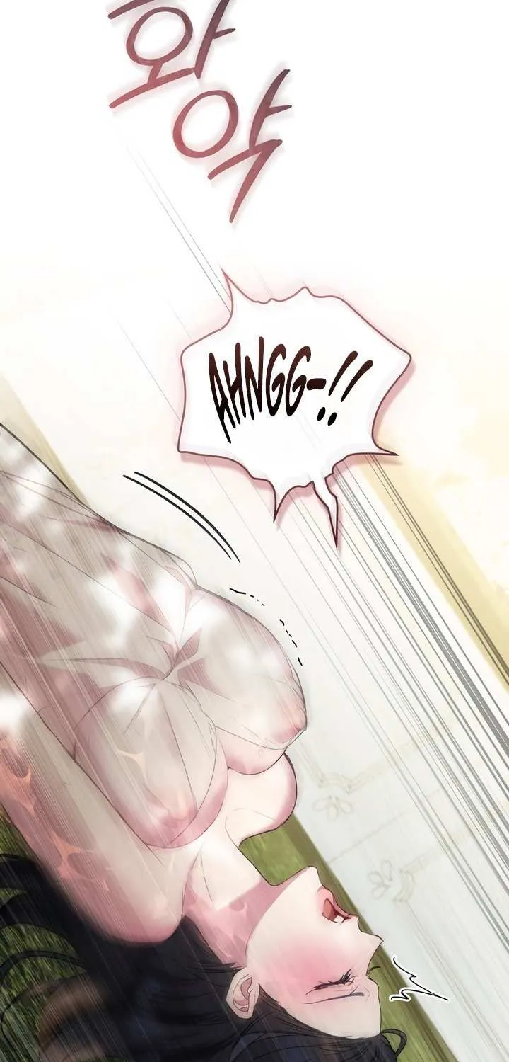 The Princess’s Bedchamber Toy Chapter 48 page 47 - 