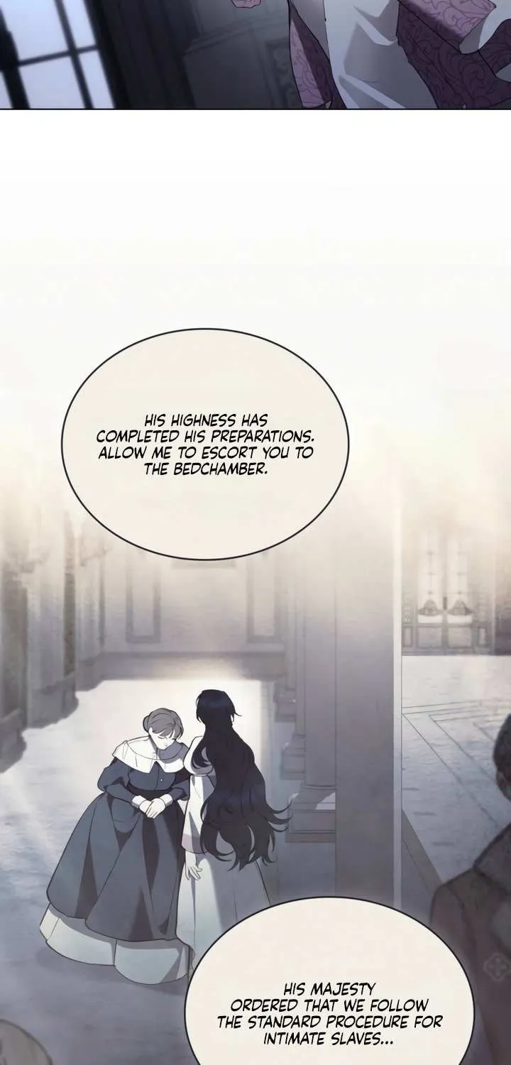 The Princess’s Bedchamber Toy Chapter 50 page 23 - 