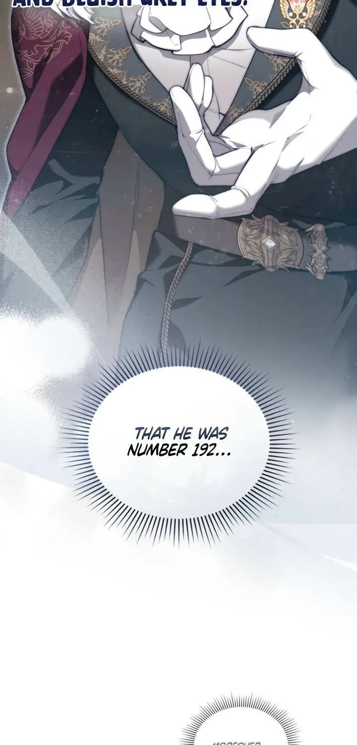 The Princess’s Bedchamber Toy Chapter 50 page 26 - 