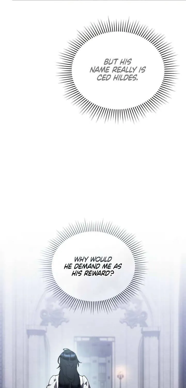 The Princess’s Bedchamber Toy Chapter 50 page 28 - 