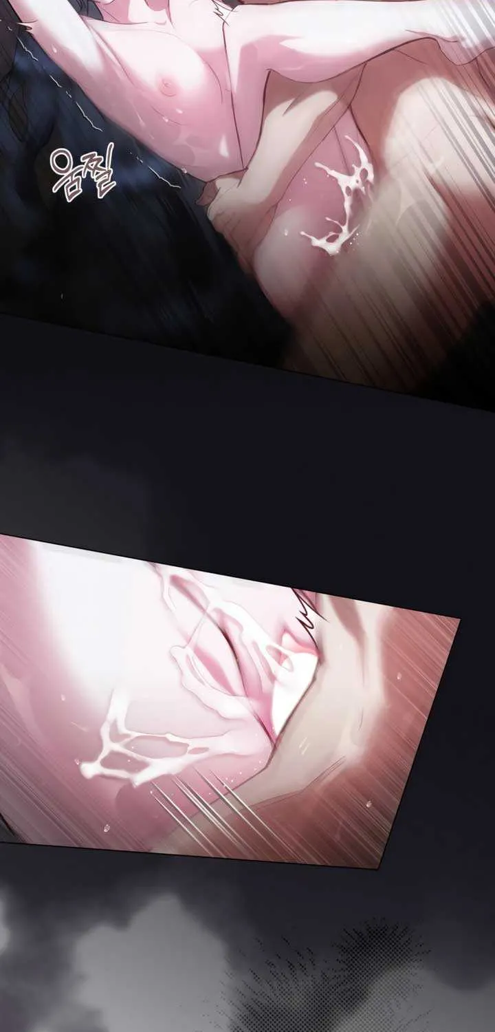 The Princess’s Bedchamber Toy Chapter 51 page 3 - 