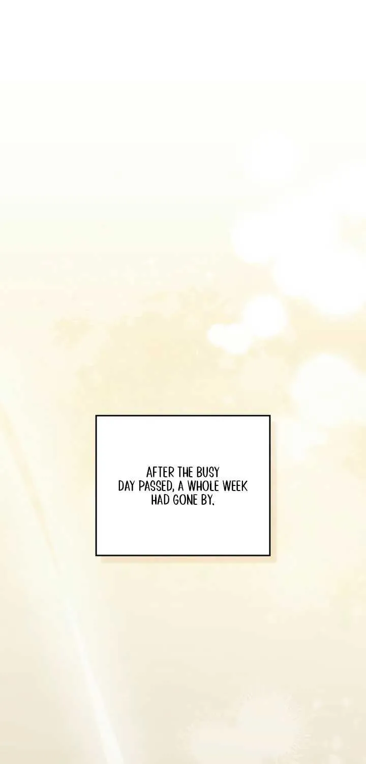 The Princess’s Bedchamber Toy Chapter 52 page 13 - 