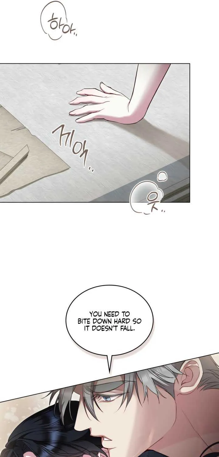 The Princess’s Bedchamber Toy Chapter 52 page 17 - 