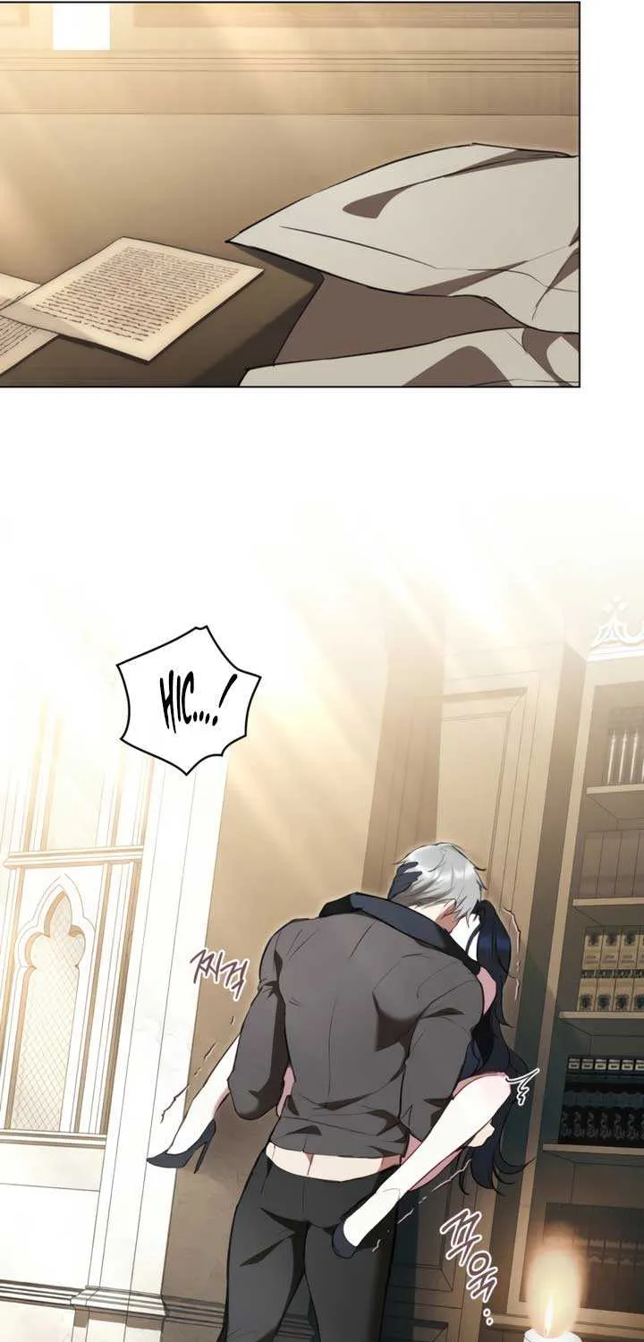The Princess’s Bedchamber Toy Chapter 52 page 25 - 