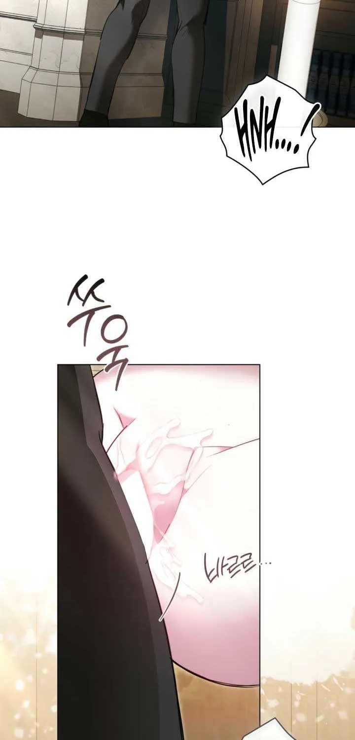 The Princess’s Bedchamber Toy Chapter 52 page 26 - 