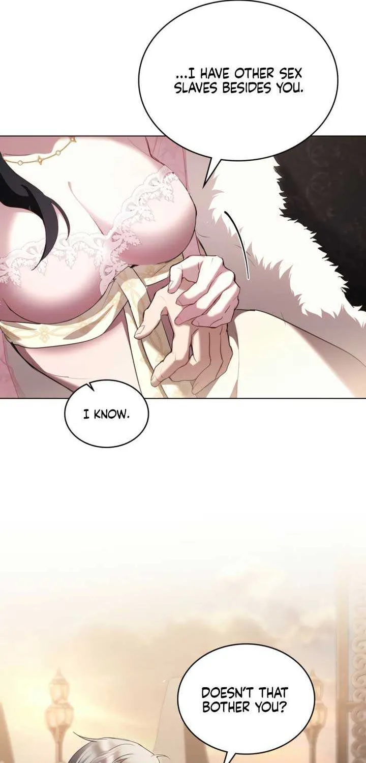 The Princess’s Bedchamber Toy Chapter 53 page 20 - 
