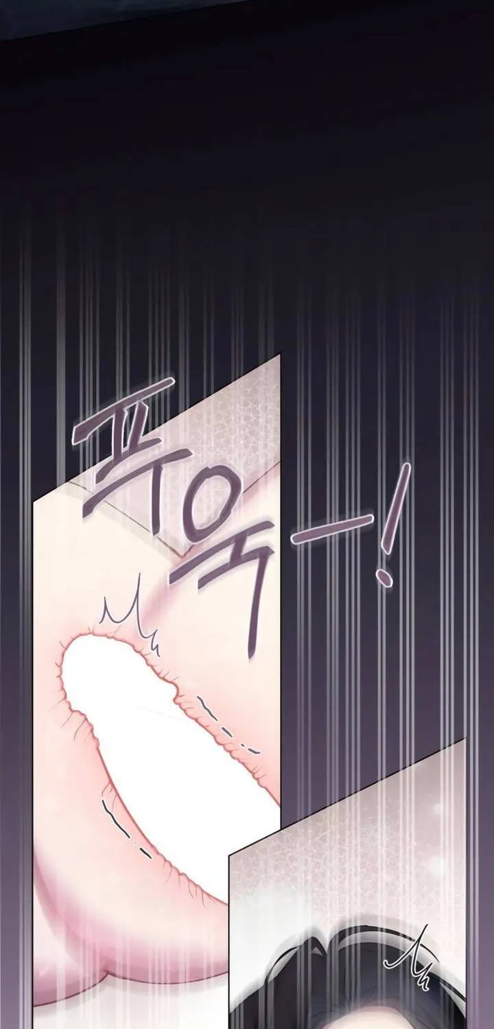 The Princess’s Bedchamber Toy Chapter 54 page 14 - 