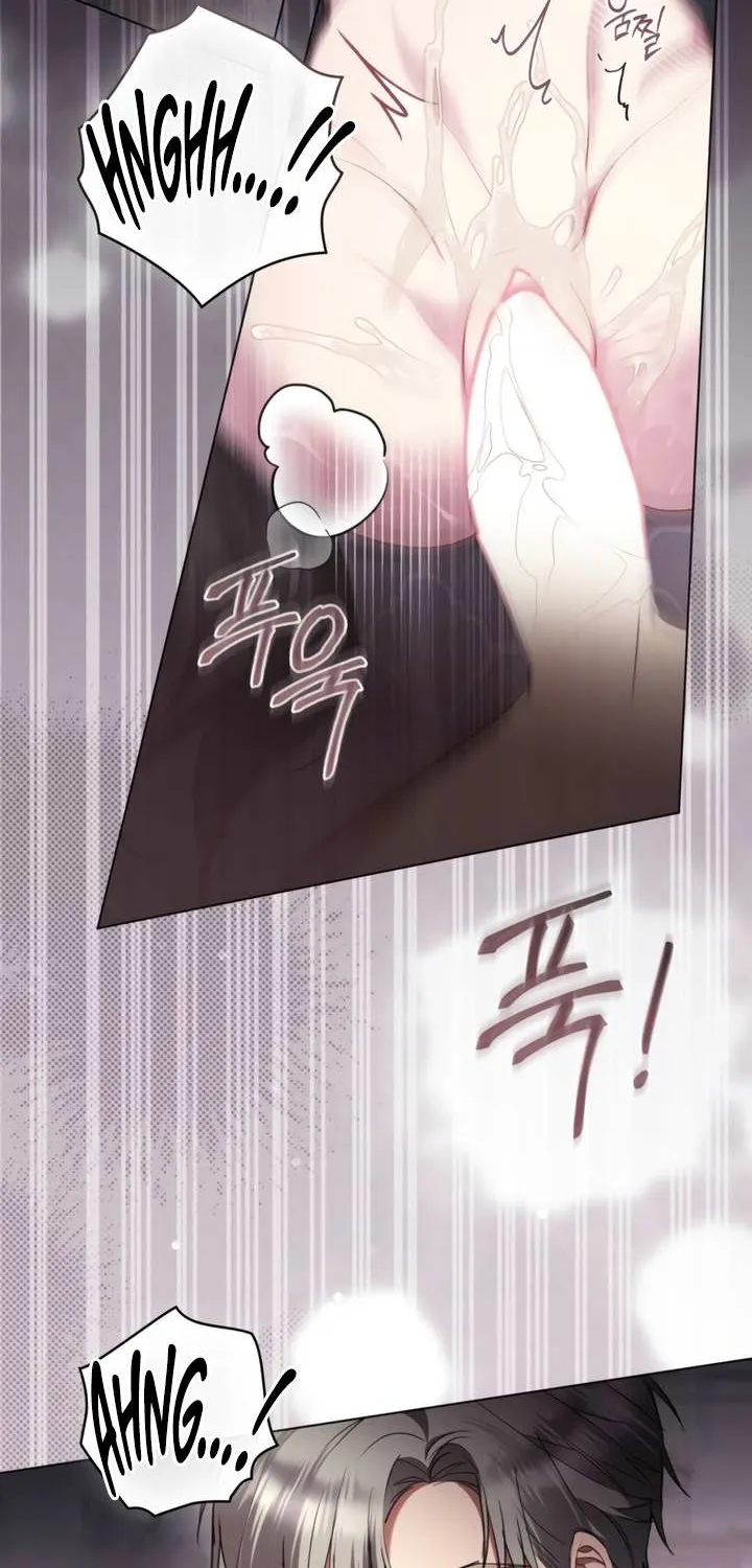 The Princess’s Bedchamber Toy Chapter 54 page 5 - 