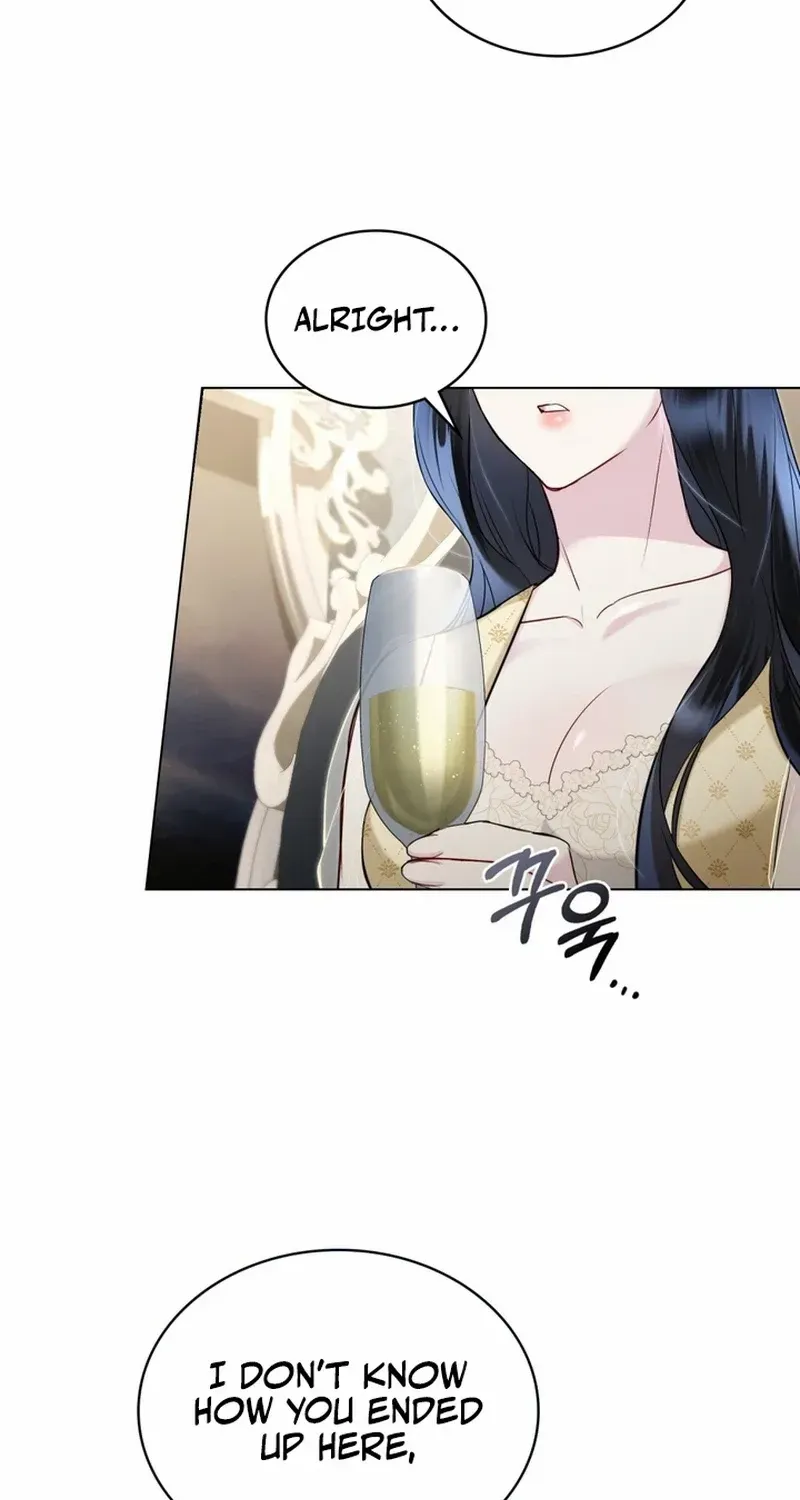 The Princess’s Bedchamber Toy Chapter 6 page 25 - 