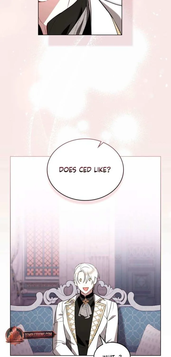 The Princess’s Bedchamber Toy Chapter 60 page 45 - 