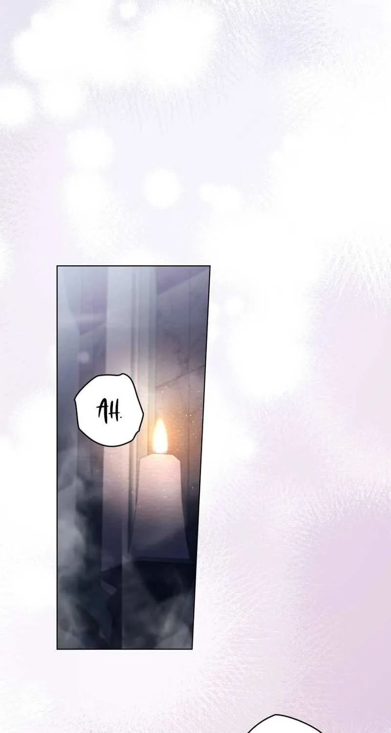 The Princess’s Bedchamber Toy Chapter 8 page 53 - 