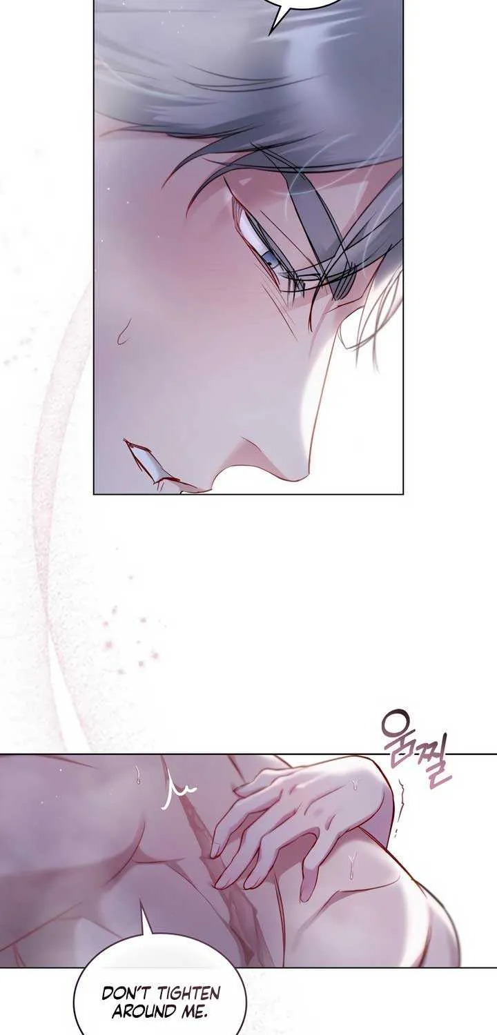 The Princess’s Bedchamber Toy Chapter 9 page 15 - 