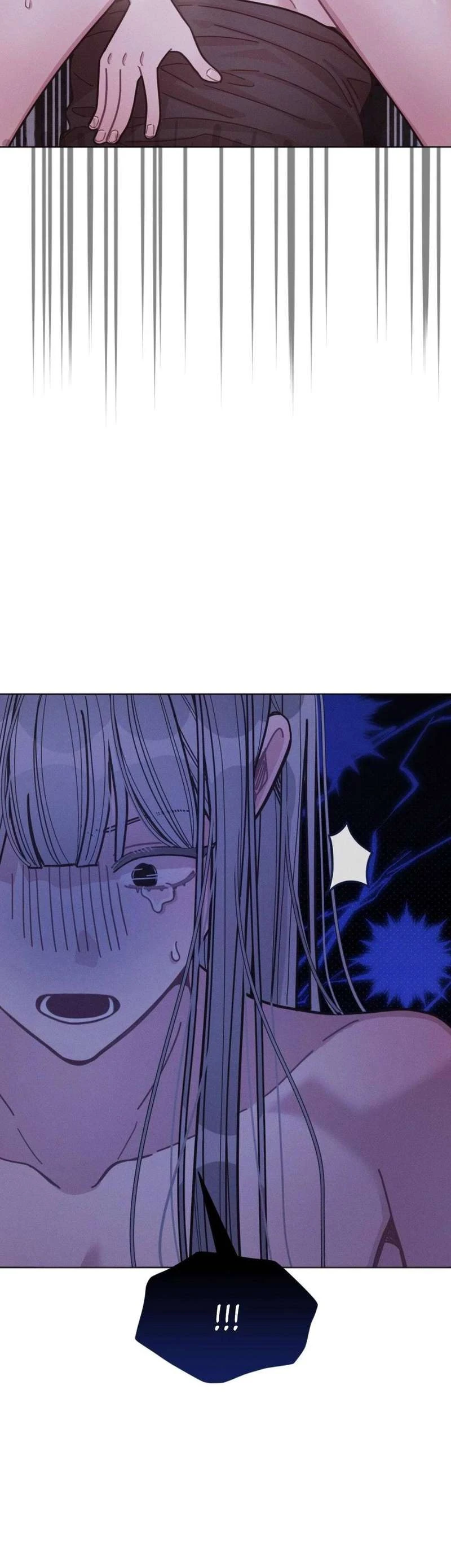 Read The Professor
