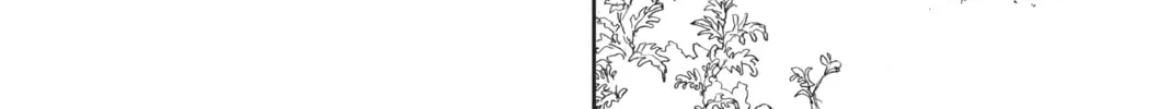 Read The Promised Neverland chapter 6 image 15 on Lezhin