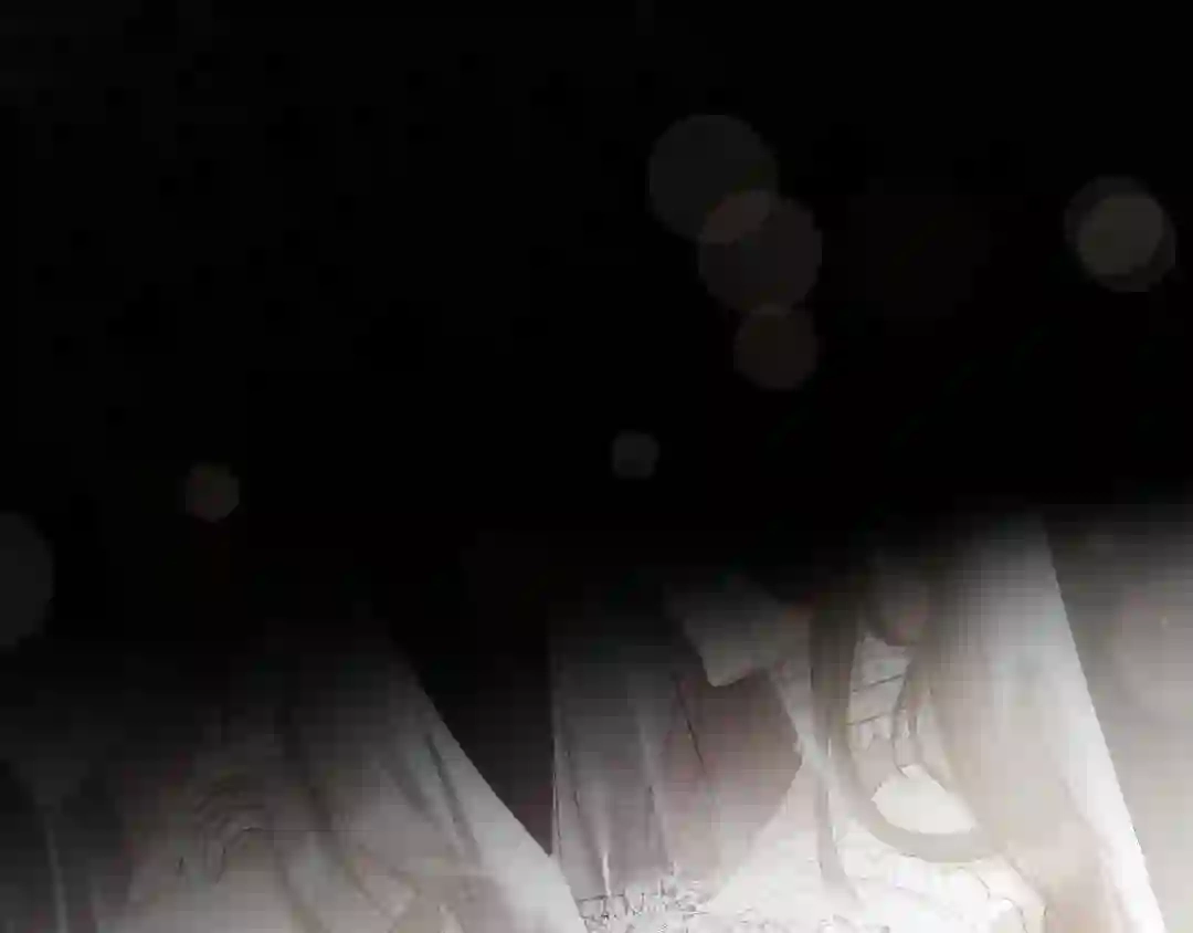 Read The Proxy Bride chapter 1 image 49 on Lezhin