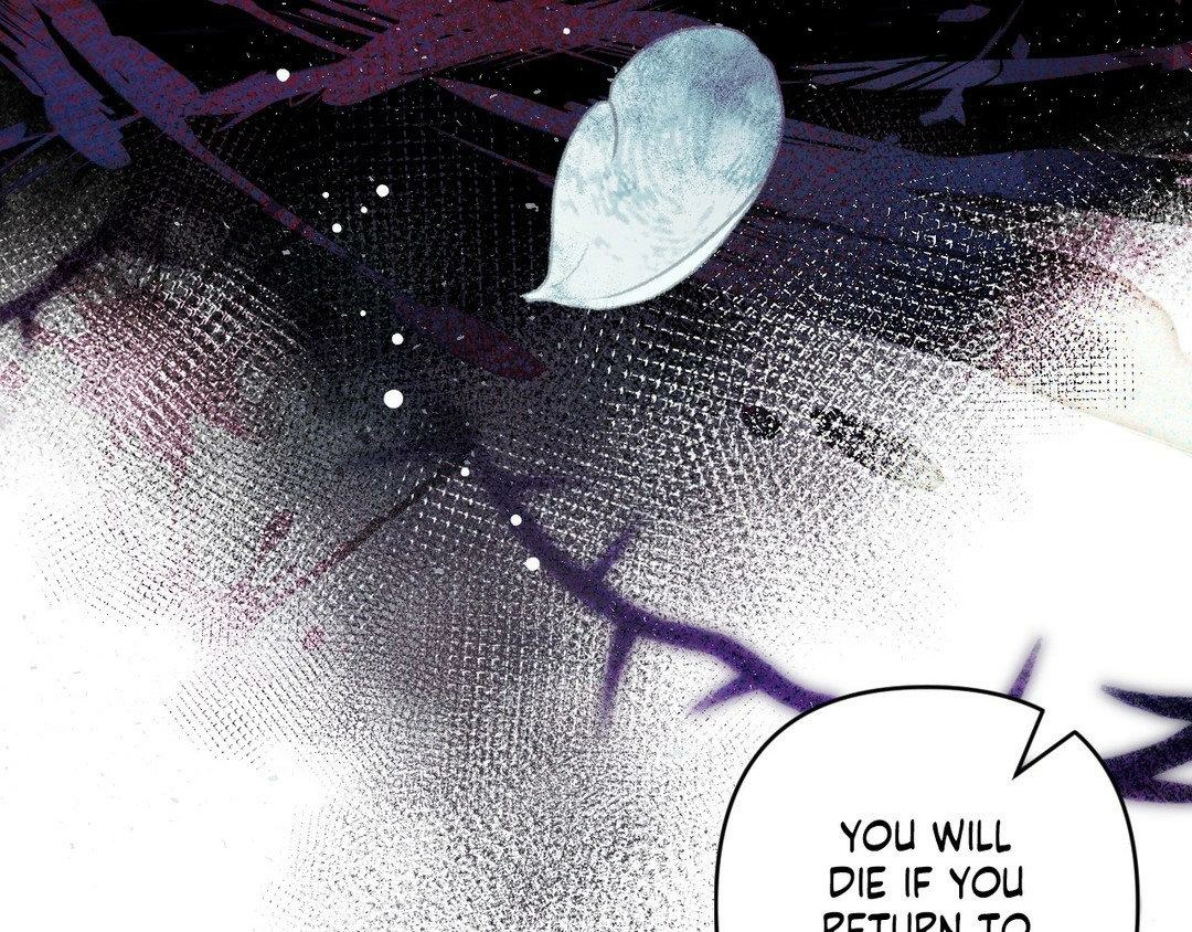 Read The Proxy Bride chapter 5 image 179 on Lezhin