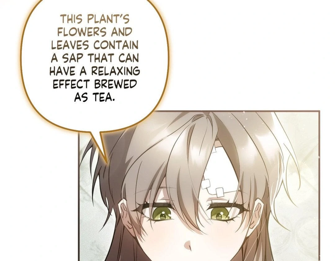 Read The Proxy Bride chapter 9 image 8 on Lezhin