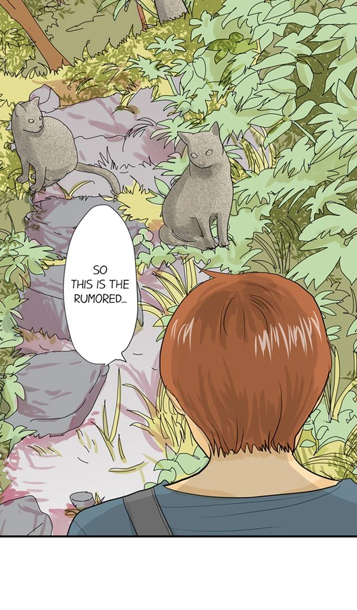 Read The Puppet chapter 52 image 4 on Lezhin