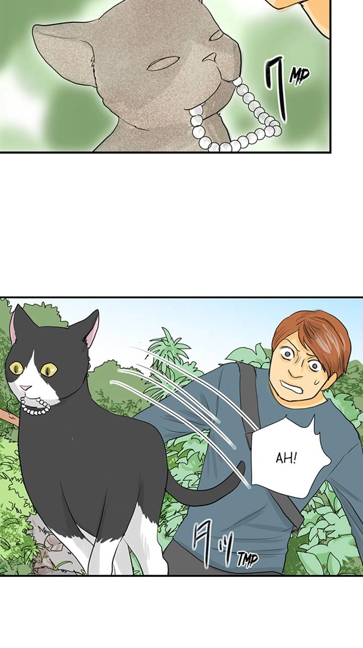 Read The Puppet chapter 52 image 6 on Lezhin