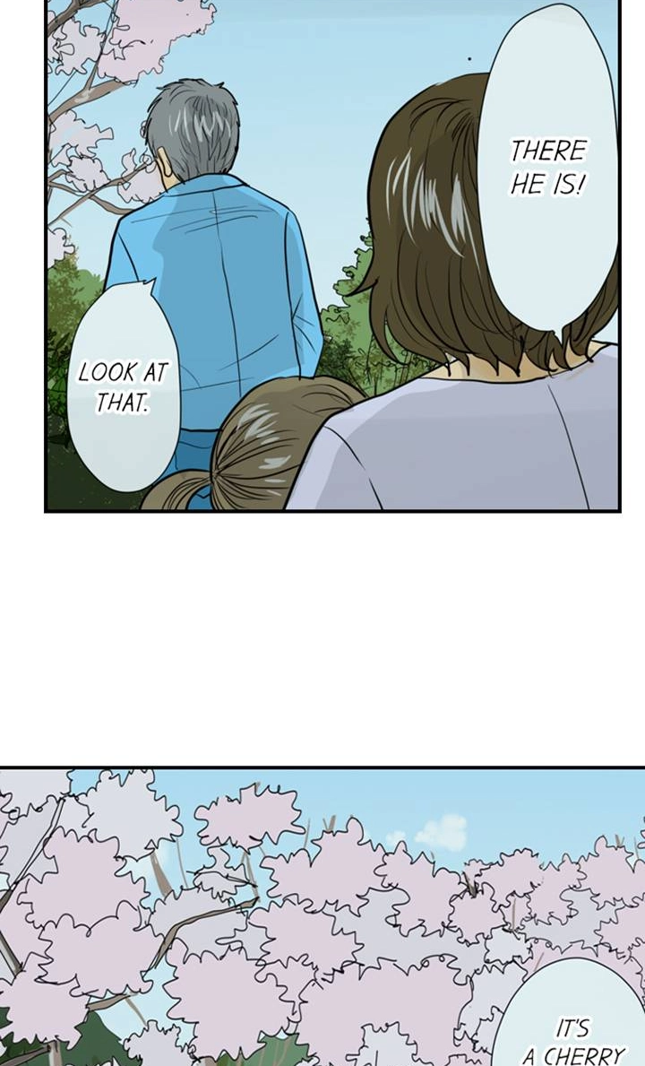 Read The Puppet chapter 60 image 20 on Lezhin