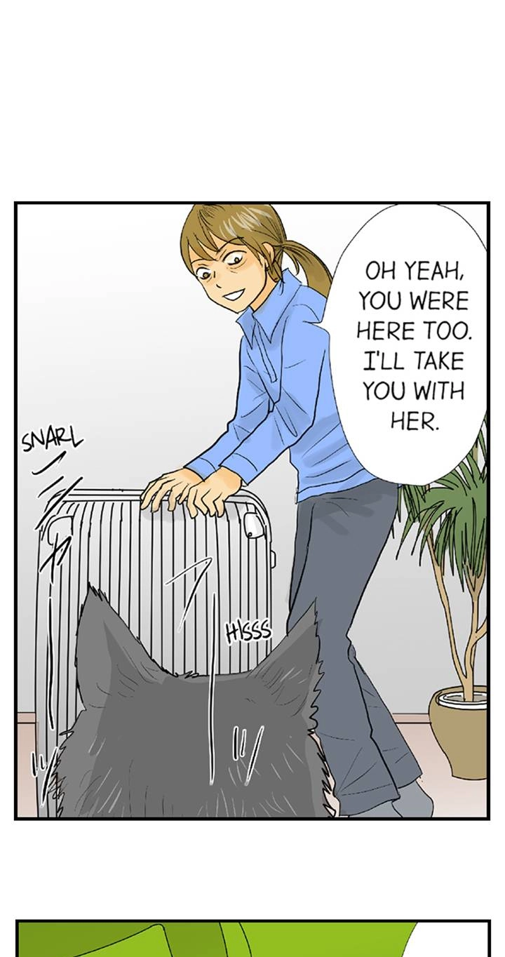 Read The Puppet chapter 66 image 14 on Lezhin