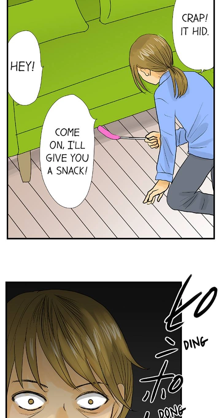 Read The Puppet chapter 66 image 15 on Lezhin