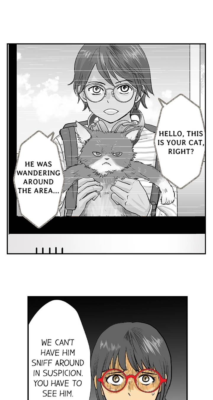 Read The Puppet chapter 66 image 27 on Lezhin