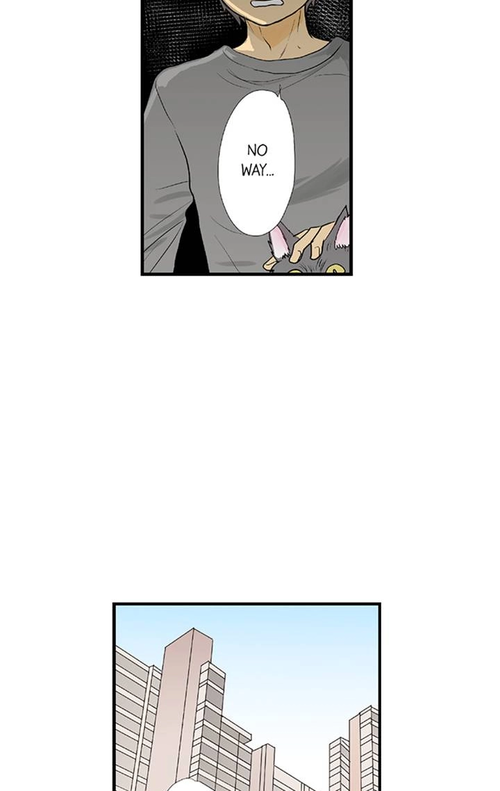 Read The Puppet chapter 67 image 5 on Lezhin