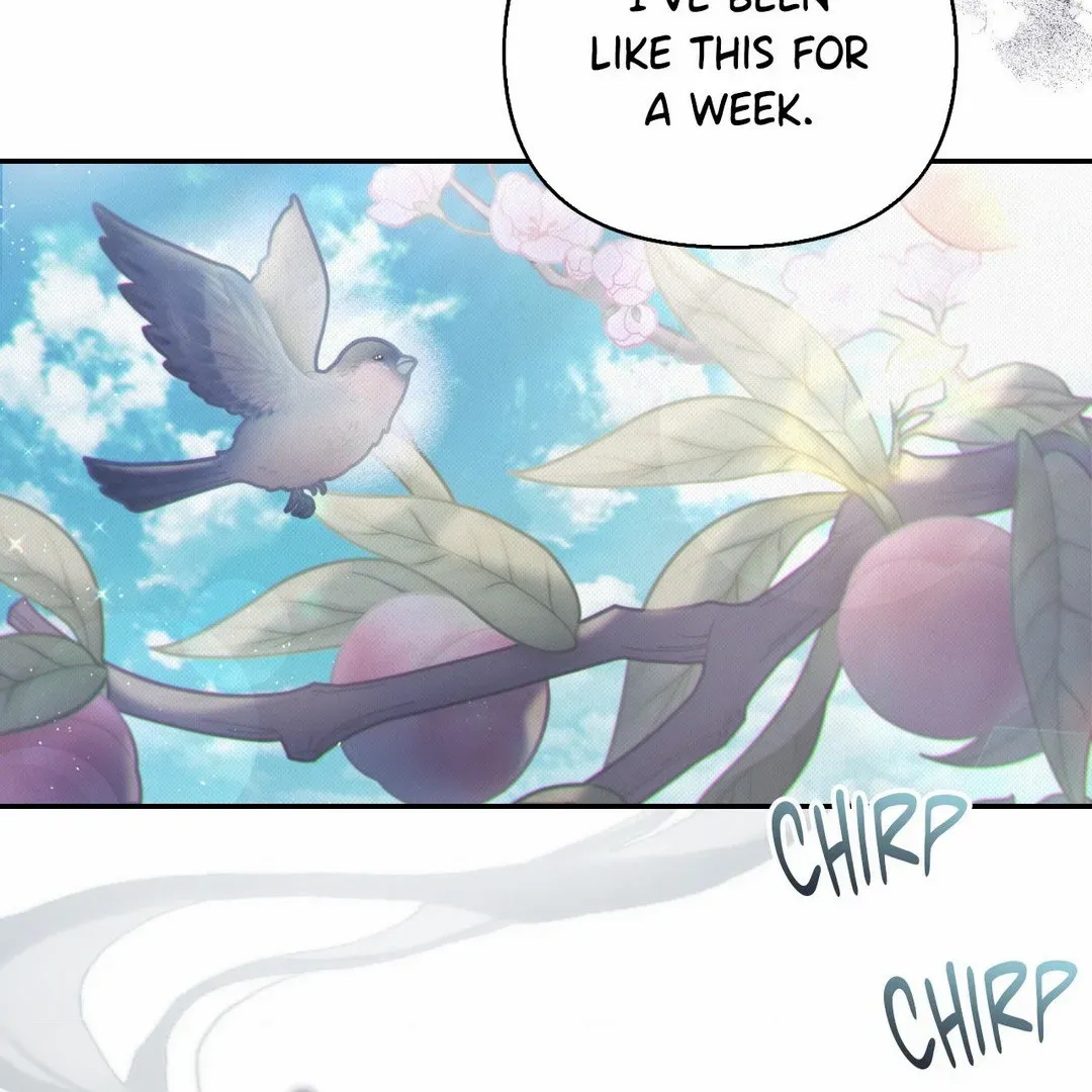The Queen’s Secret Lessons Chapter 42 page 11 - 