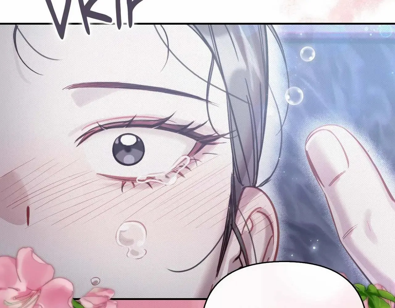 The Queen’s Secret Lessons Chapter 46 page 34 - 