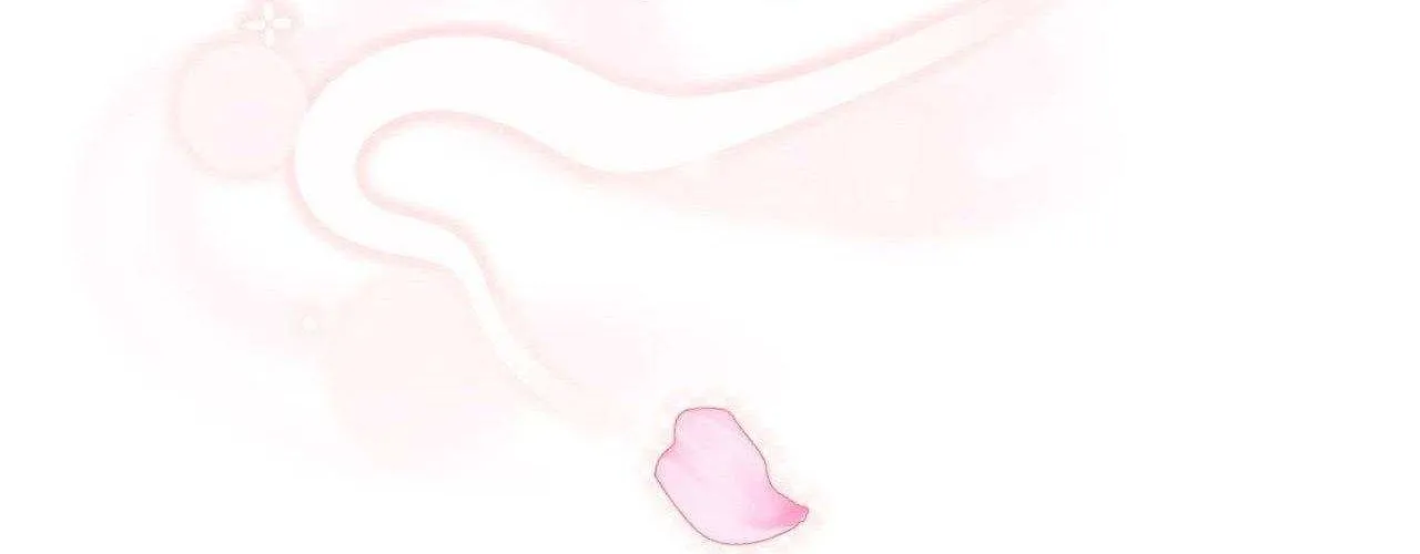 The Queen’s Secret Lessons Chapter 60 page 27 - 